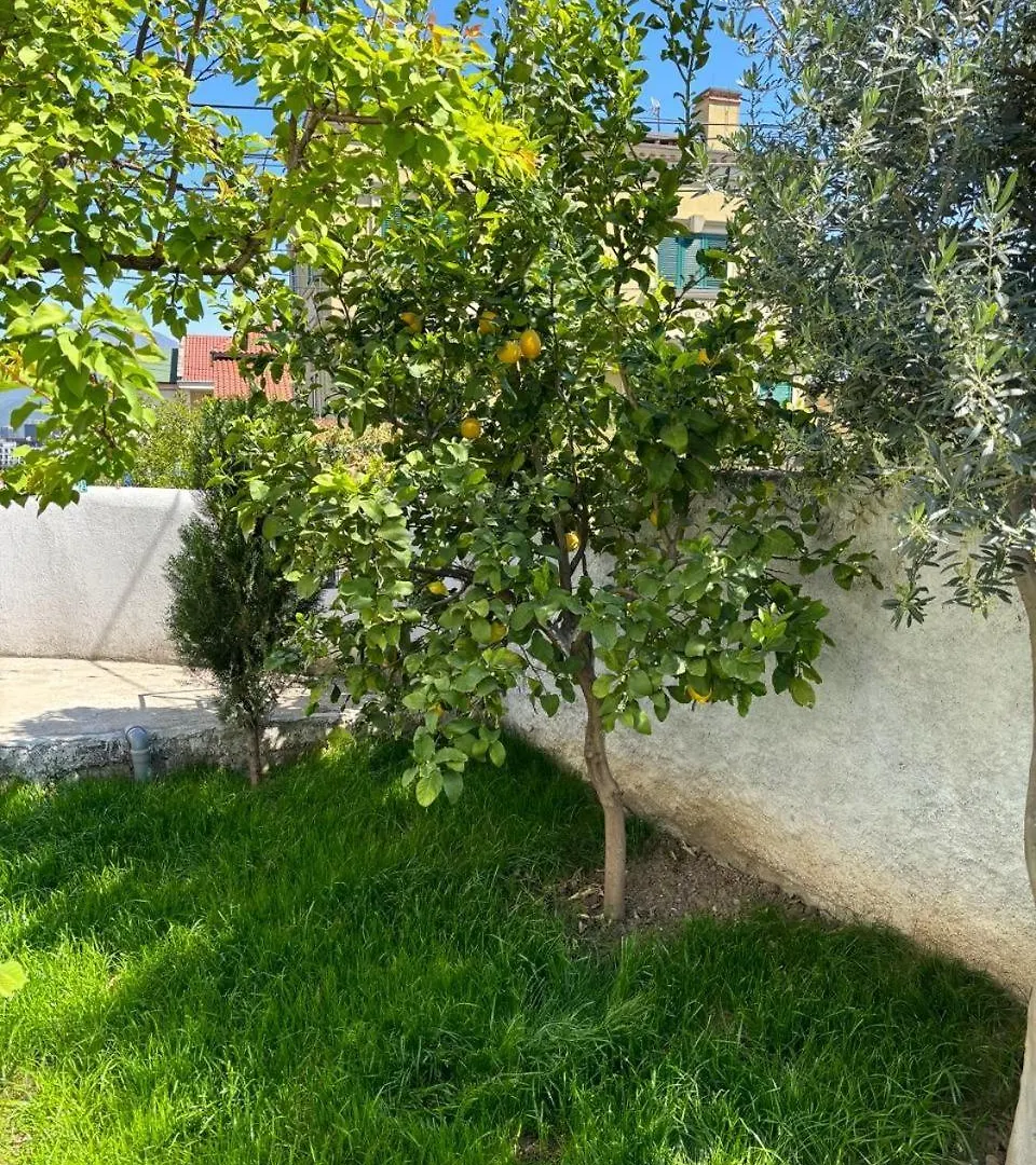 Garden One Bedroom Apartment Tirana Albania